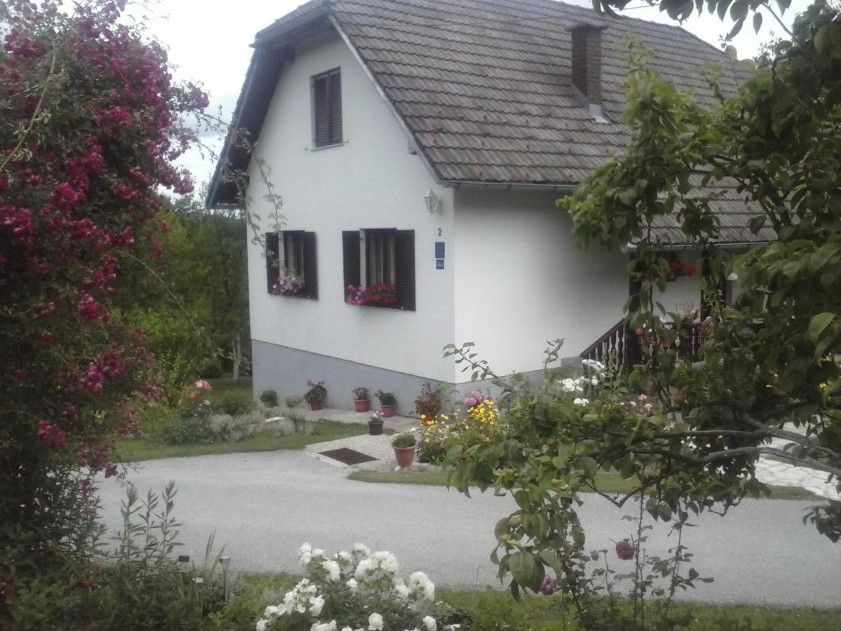 Ferienwohnung House Nina Poljanak Exterior foto